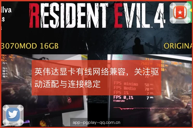 英伟达显卡有线网络兼容，关注驱动适配与连接稳定