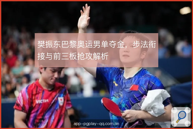 樊振东巴黎奥运男单夺金，步法衔接与前三板抢攻解析